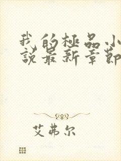 我的极品小姨小说最新章节下载