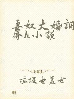 妻奴大婚调教屈辱h小说