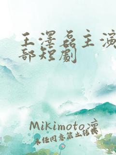 王泽磊主演的全部短剧