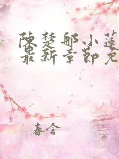 陈楚那小莲小说最新章节免费阅读