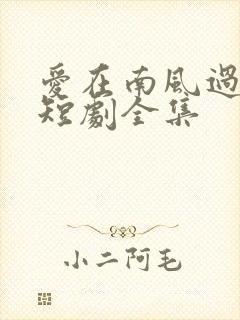 爱在南风过境时短剧全集