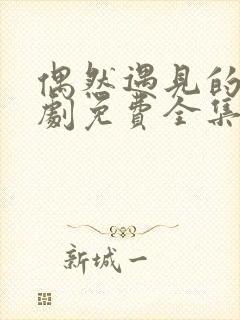 偶然遇见的你短剧免费全集免费播放