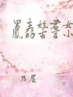 男主姓君女主姓凤的古言小说