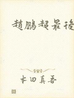 赵鹏超最后结局