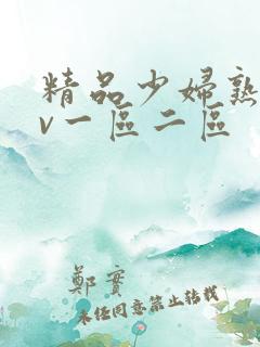精品少妇熟女av一区二区