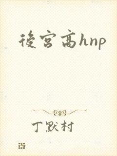 后宫高hnp