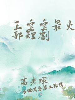 王云云最火的5部短剧