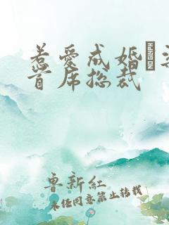 惹爱成婚·染指首席总裁