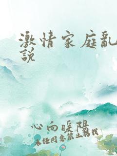 激情家庭乱论小说