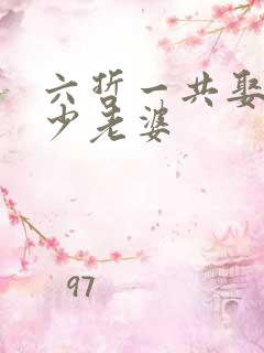 六哲一共娶了多少老婆