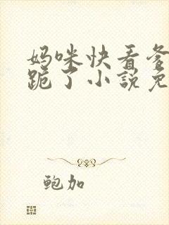 妈咪快看爹地又跪了小说免费阅读