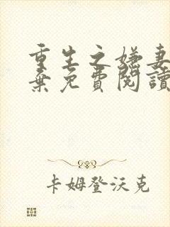 重生之嫌妻不自弃免费阅读