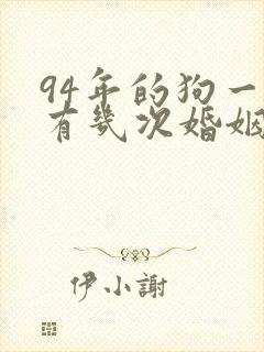 94年的狗一生有几次婚姻