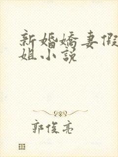 新婚娇妻假装小姐小说