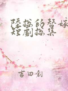 陆总的替嫁新娘短剧总集