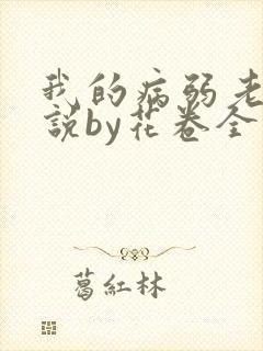 我的病弱老婆小说by花卷全文免费阅读