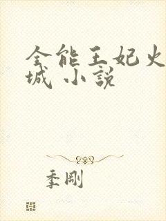 全能王妃火爆京城 小说