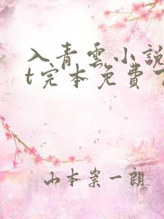 入青云小说txt完本免费下载