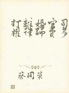 打离婚官司抚养权律师费多少钱啊