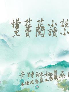 惜花芷小说全文免费阅读小说