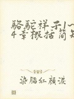 骆驼祥子1~24章概括简短