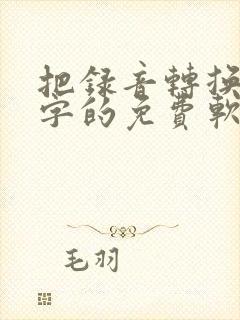 把录音转换成文字的免费软件