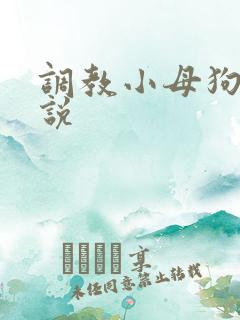 调教小母狗h小说