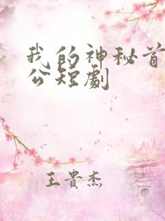 我的神秘首富老公短剧