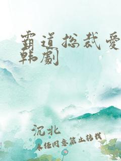 霸道总裁爱上我韩剧