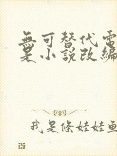 无可替代电视剧是小说改编的吗