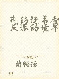 我的徒弟都是大反派的境界划分