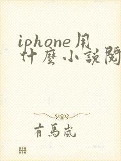 iphone用什么小说阅读器好