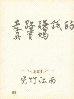 走路赚钱的软件真实吗