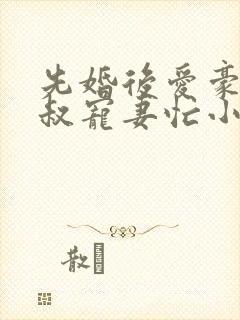 先婚后爱豪门大叔宠妻忙小说