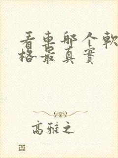 看车哪个软件价格最真实