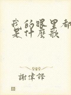 我的眼里都是你是什么歌