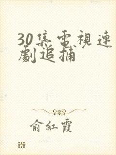 30集电视连续剧追捕