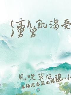 (高h,饥渴受)男男