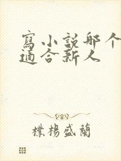 写小说哪个平台适合新人