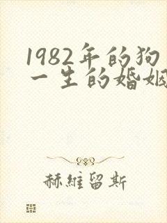 1982年的狗一生的婚姻怎么样