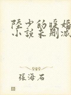 陆少的暖婚新妻小说未删减版