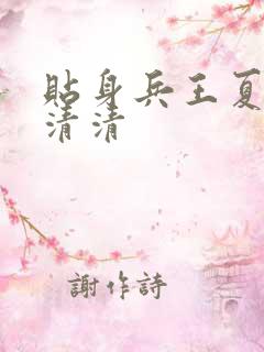贴身兵王夏天柳清清