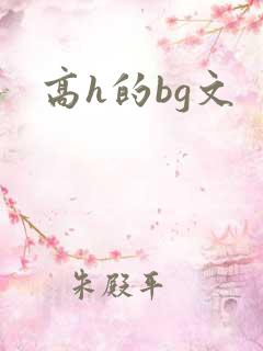 高h的bg文