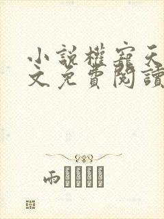 小说权宠天下全文免费阅读