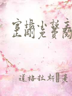 官场小说主角叶正刚免费阅读