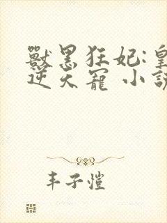 兽黑狂妃:皇叔逆天宠 小说网