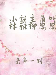 小说主角叫曹斌林雅柳思思的小说名