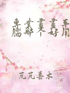 专业画画平板电脑哪个好用