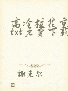 高冷校花重生了txt免费下载