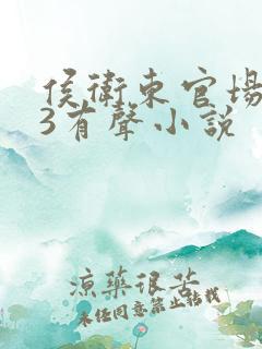 侯卫东官场笔记3有声小说